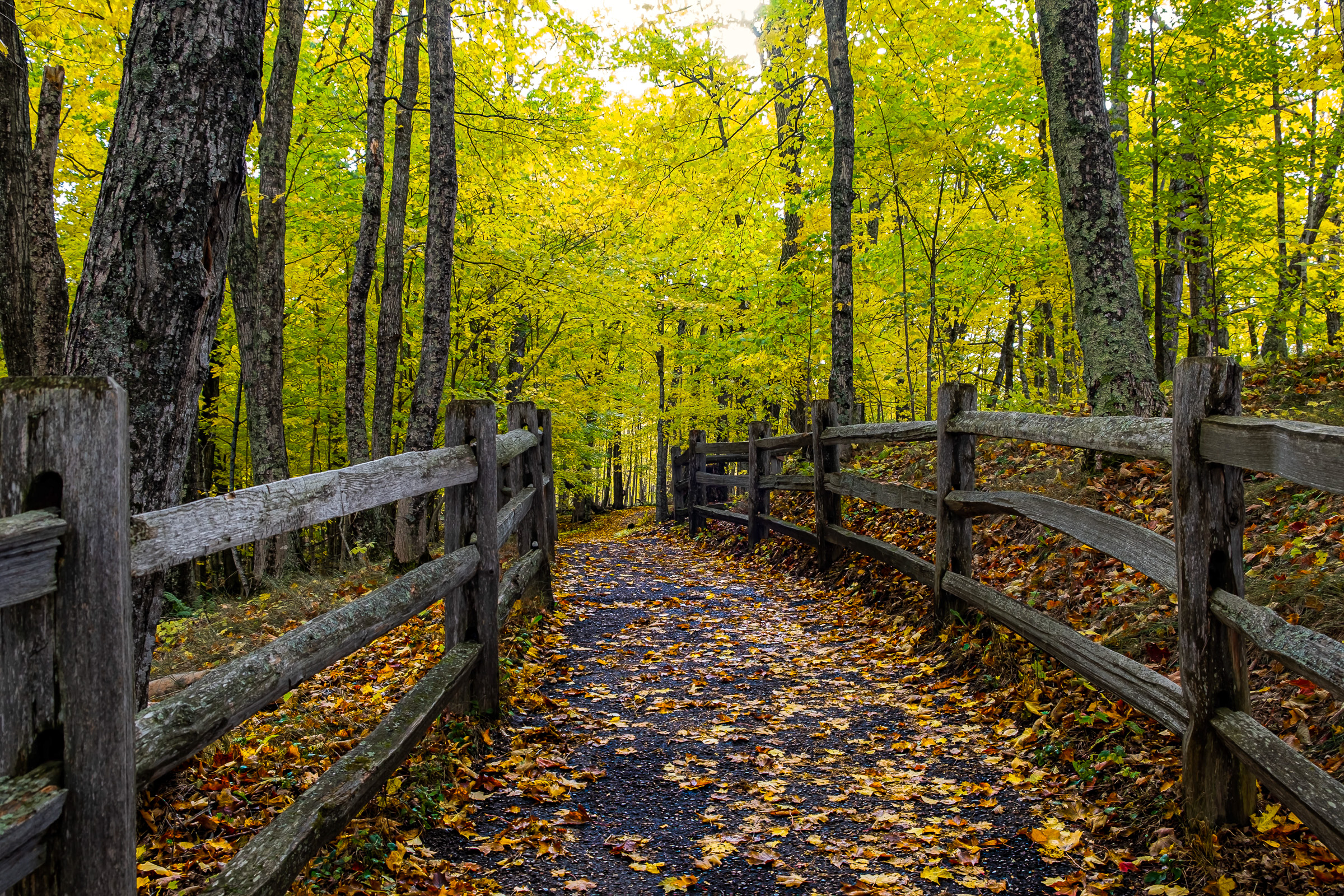 Pictured Rocks National Lakeshore Trail